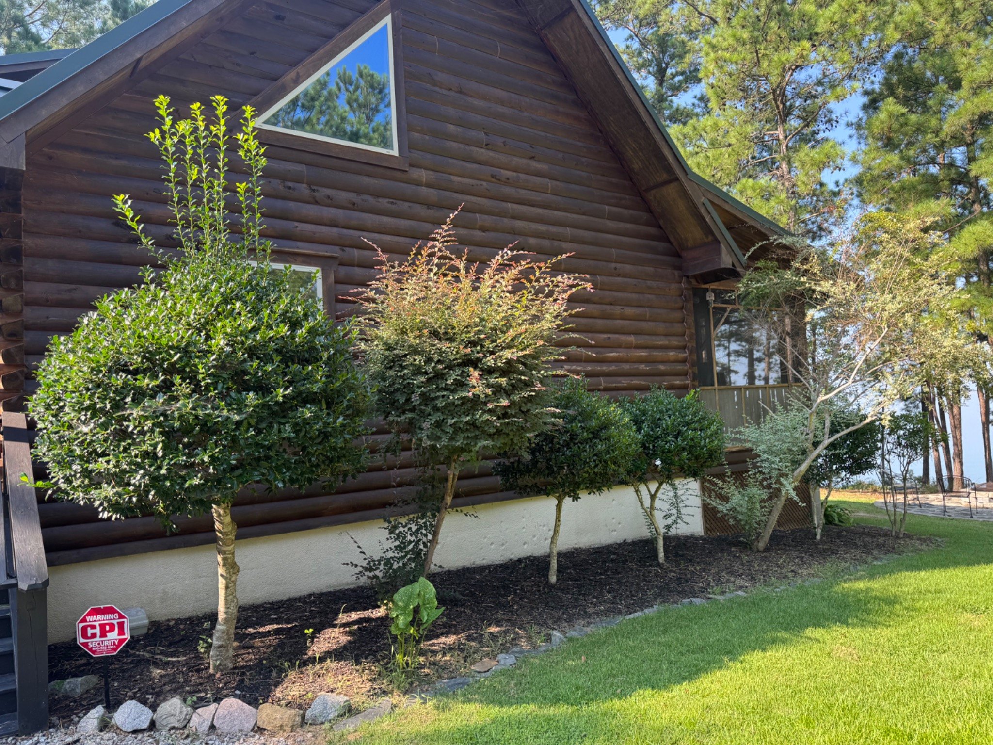 Before: overgrown ornamental shrubs beside log cabin